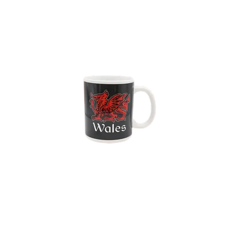 Welsh Mug Creation City