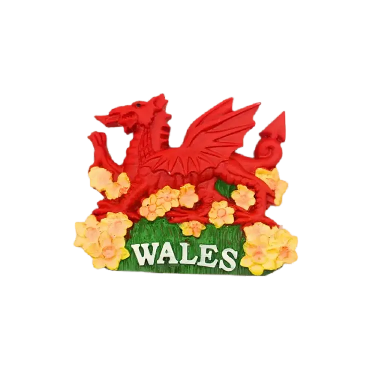 Wales Dragon & Daffodils Magnet – Welsh Souvenir Gift | Creation CitySouvenir Gift