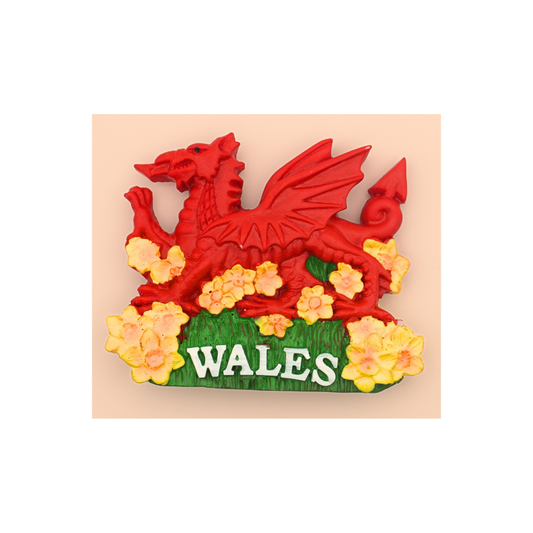Wales Dragon & Daffodils Magnet – Welsh Souvenir Gift | Creation CitySouvenir Gift
