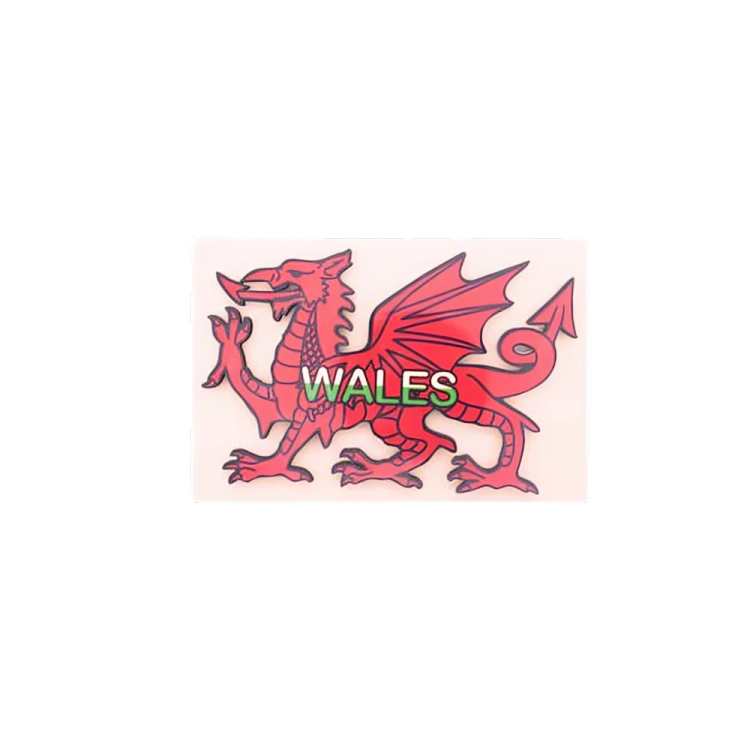Welsh Dragon Wooden Magnet Creation City
